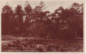 Wood corner of Petersfield Lake